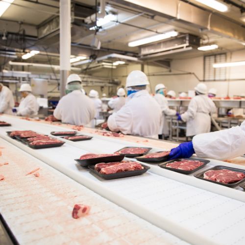 Ergonomisk rådgivning hos Tulip Food Company