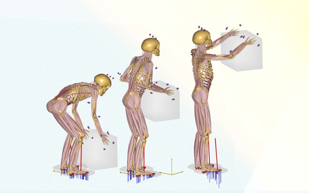 Latest Research and Data ensure improved Workplace Ergonomics