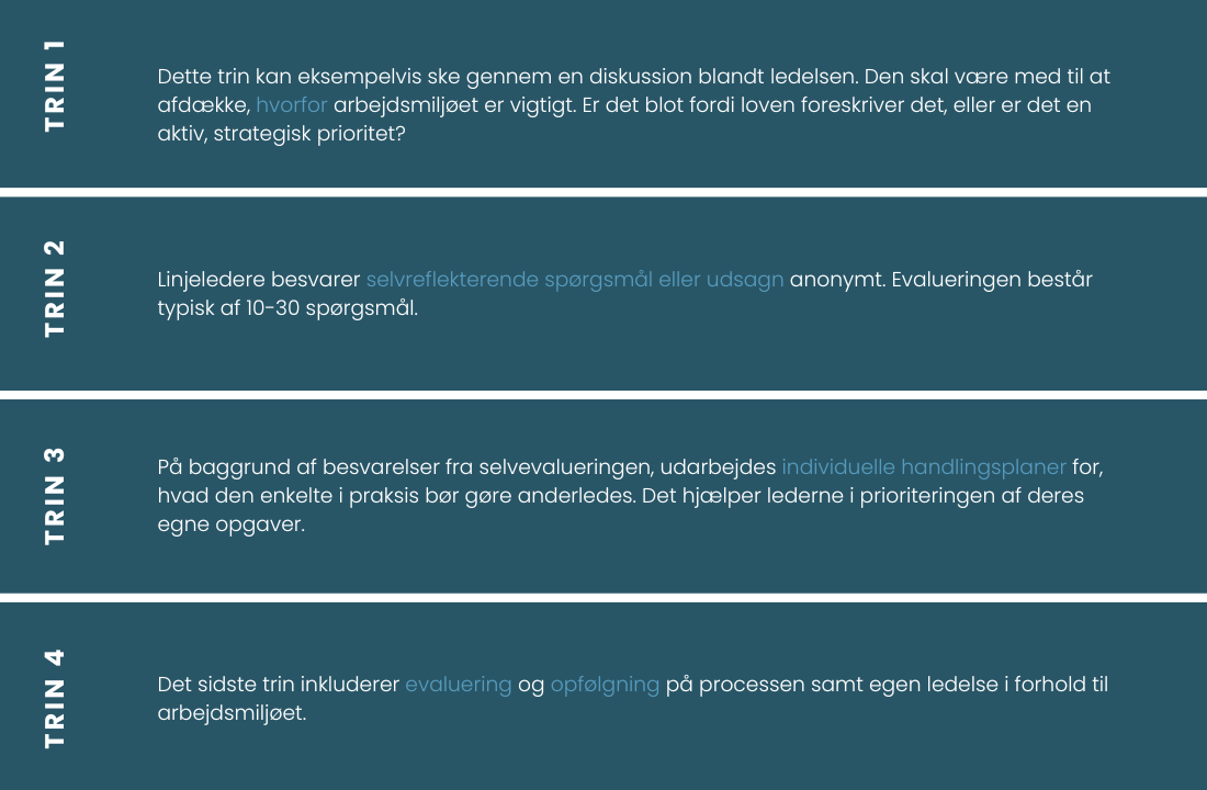 Eksempel på selvevalueringsværktøj