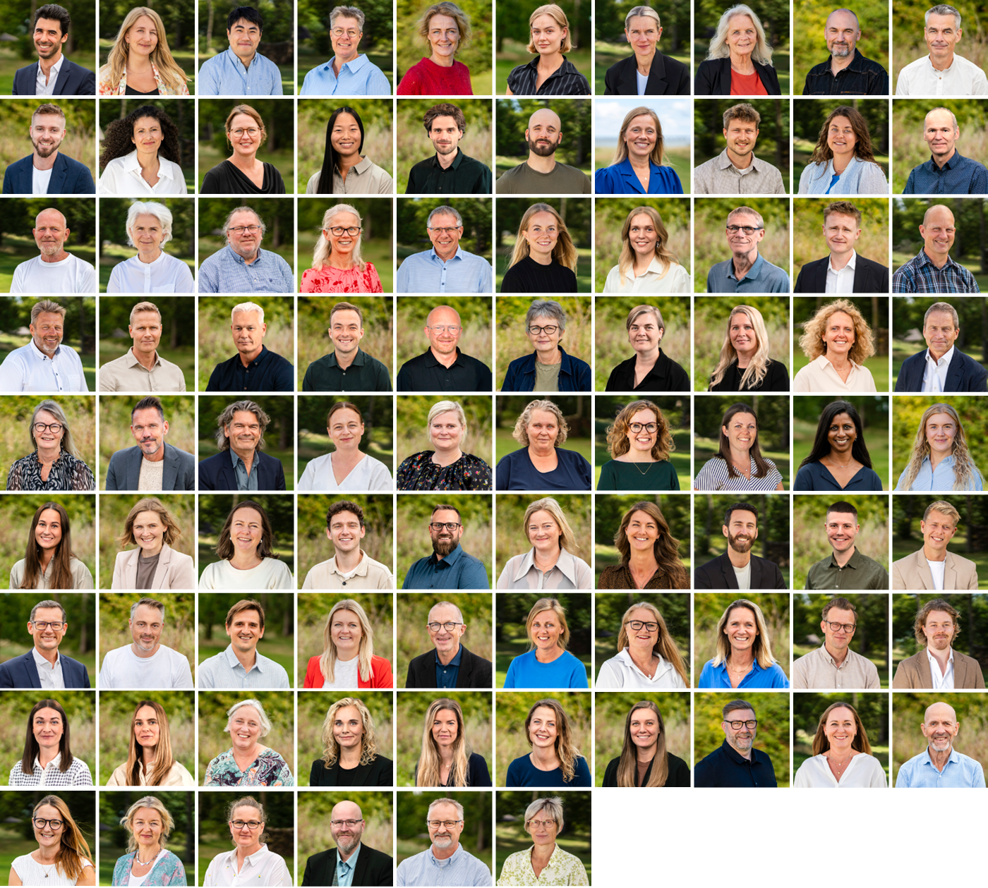 Konsulenter Human House