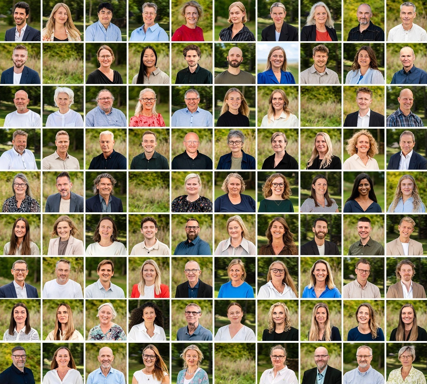 Konsulenter i Human House